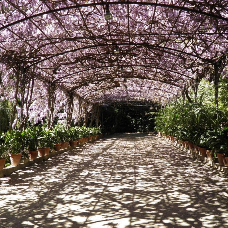 Jardín botánico de Málaga