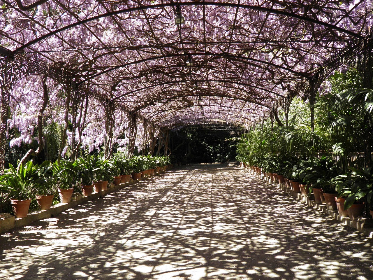 Descubre el maravilloso jardín botánico de Málaga