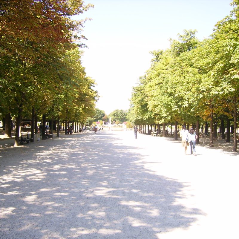 Image des Jardins des Tuileries à Paris, avec ses sculptures, fontaines et allées bordées d'arbres