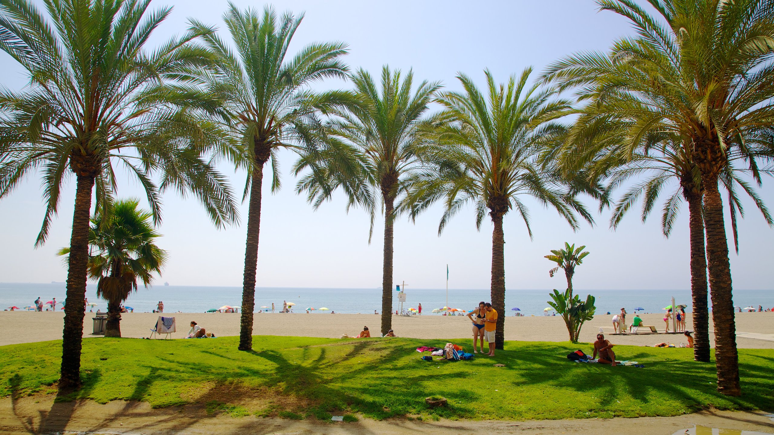 Las Mejores Playas de Málaga