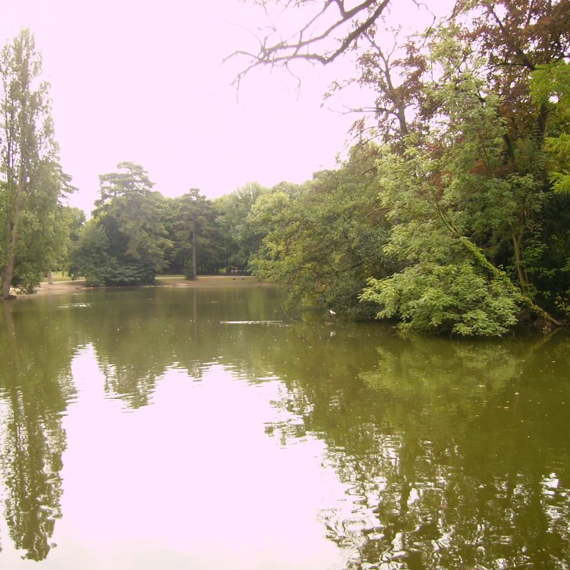 Imagen del Bois de Boulogne en París, mostrando su frondoso paisaje verde