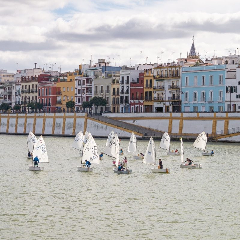 Un tournoi de voile sur le fleuve Guadalquivir lors des festivités de la Velá de Santa Ana