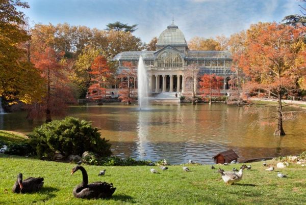 Vista del Parque del Retiro en Madrid, mostrando la Montaña de los Gatos, un rincón secreto y tranquilo dentro del parque