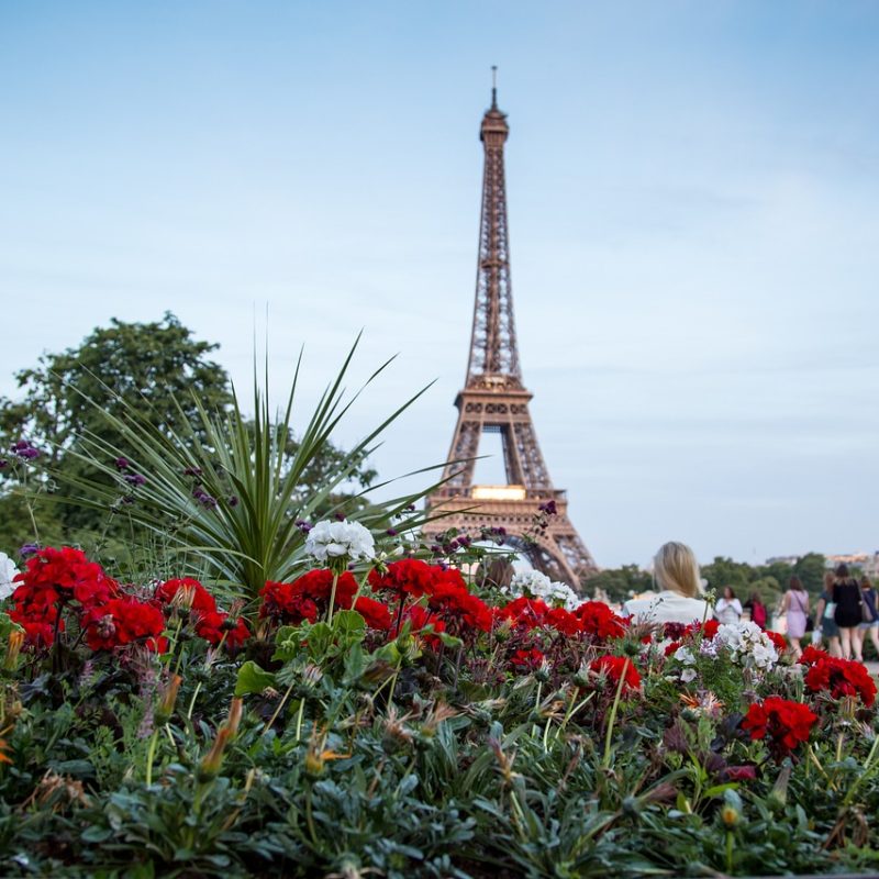 Flower garden with the Eiffel Tower in the background