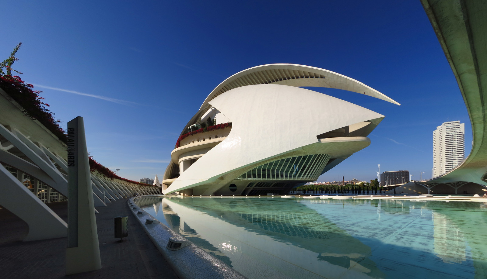 What to Do in the City of Arts and Sciences