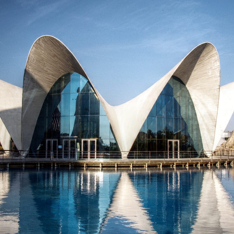 Vista del acuario en la Ciudad de las Artes y las Ciencias en Valencia