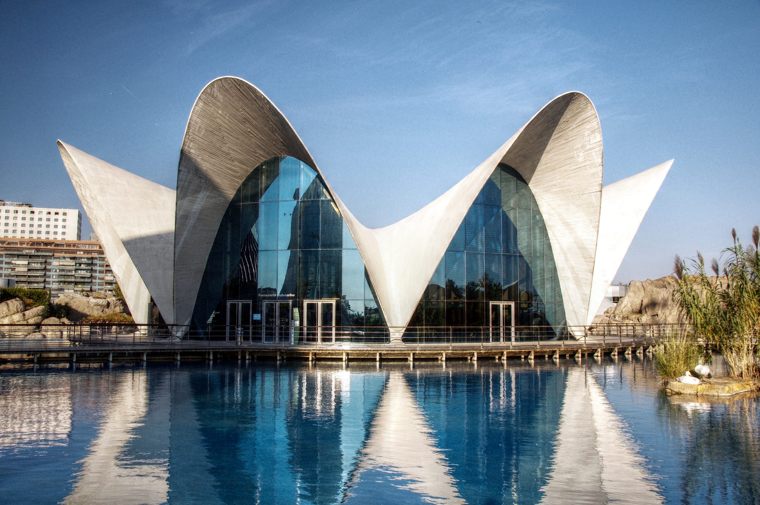 Qué hacer en la Ciudad de las Artes y las Ciencias