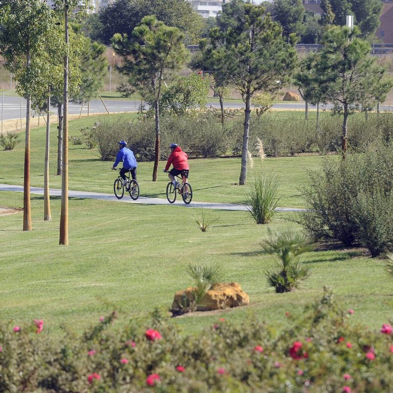 Two cyclists riding through the Vega de Triana Park in Seville, surrounded by greenery and open spaces