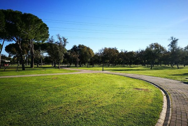 Vue du Parc du Alamillo à Séville, avec ses vastes espaces verts et ses sentiers ombragés