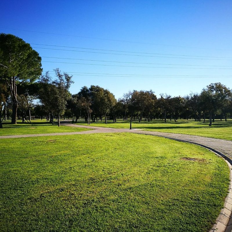Vue du Parc du Alamillo à Séville, avec ses vastes espaces verts et ses sentiers ombragés