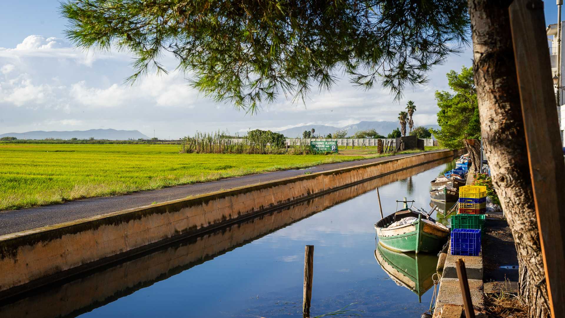 Parque Natural de la Albufera: enjoy nature close to Valencia