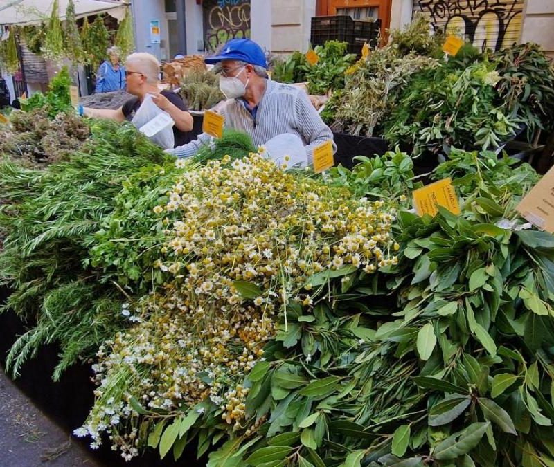 Puesto tradicional con hierbas aromáticas y terapéuticas en la Feria de San Ponç en Barcelona