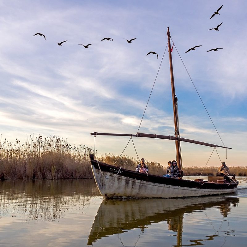Barca tradicional navegando en las aguas tranquilas del Parque Natural de la Albufera, rodeada de naturaleza