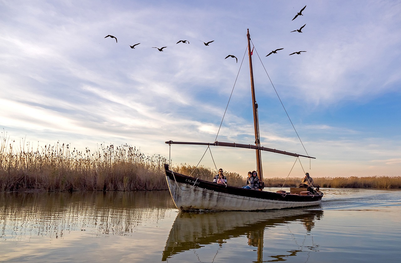 Parque Natural de la Albufera: disfruta de la naturaleza cerca de Valencia