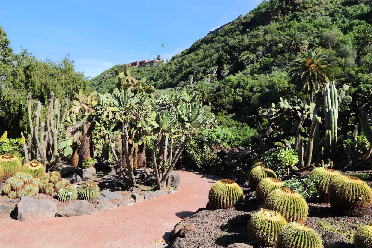 Parcs et espaces naturels à Las Palmas de Gran Canaria: les meilleurs endroits pour se ressourcer