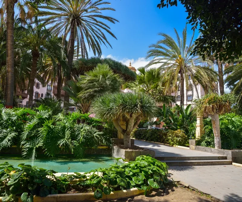 Vista del Parque Doramas, un espacio verde y lleno de árboles en Las Palmas de Gran Canaria