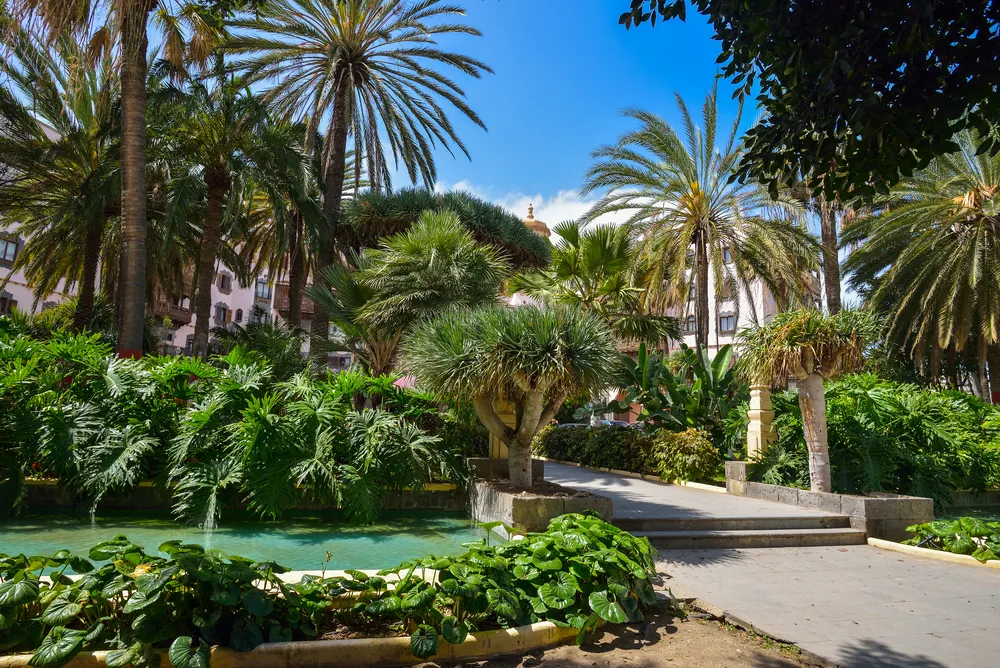 Parques y espacios naturales en Las Palmas de Gran Canaria: los mejores lugares para desconectar